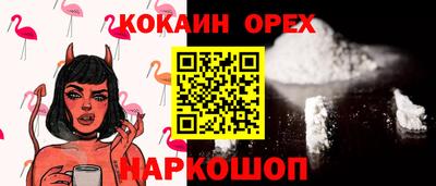 индика Ставрополь