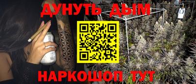 индика Ставрополь