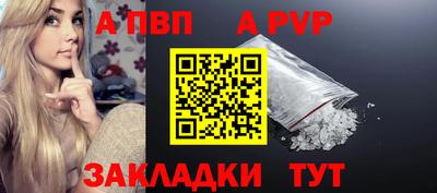 индика Ставрополь