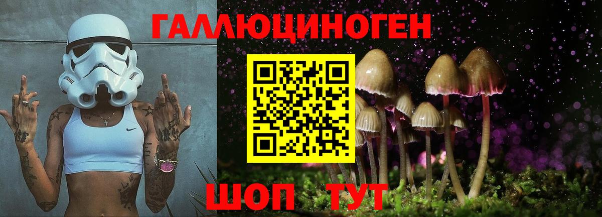 Назарово  что такое   Вход с VPN  Псилоцибиновые грибы прущие грибы  Псилоцибиновые грибы мухоморы 